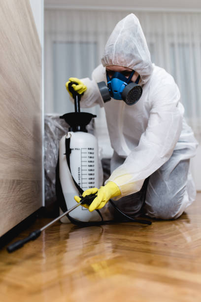 Emergency Pest Control in Roseville, CA